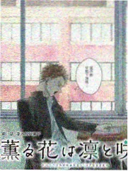 节奏曲线工具更新说明配图